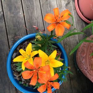 Meet your Posher, Munzio